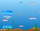 Fishy - 25/11